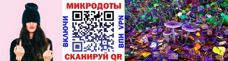 Псилоцибиновые грибы мицелий  mega маркетплейс  Бердск 
