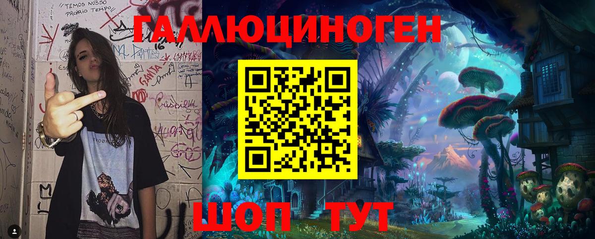 Псилоцибиновые грибы Cubensis Бердск