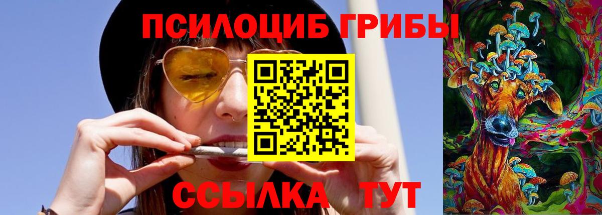 Бердск  Псилоцибиновые грибы MAGIC MUSHROOMS  что такое наркотик  Вход с VPN  Галлюциногенные грибы Cubensis 