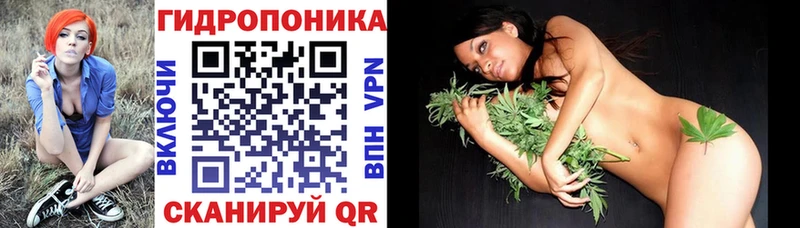Канабис Bruce Banner  наркошоп  Бердск 