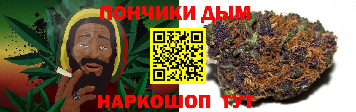 Каннабис план Бердск